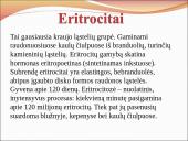 Kraujo sudėtis ir savybės 13 puslapis