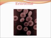 Kraujo sudėtis ir savybės 14 puslapis