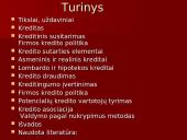 Kredito rūšys ir ypatumai 2 puslapis