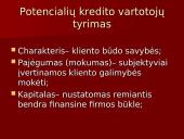 Kredito rūšys ir ypatumai 12 puslapis