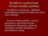 Kredito rūšys ir ypatumai 5 puslapis