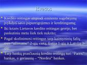 Kredito reitingai 19 puslapis
