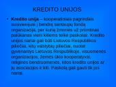 Kredito Unijos teikiamos paslaugos 5 puslapis