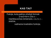 Kvadratinė funkcija ir formulė 2 puslapis