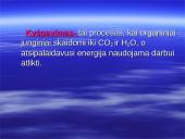Kvėpavimo procesas, kvėpavimo tipai 2 puslapis