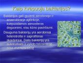 Kvėpavimo procesas, kvėpavimo tipai 12 puslapis