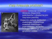 Kvėpavimo procesas, kvėpavimo tipai 13 puslapis