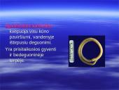 Kvėpavimo procesas, kvėpavimo tipai 18 puslapis