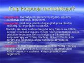 Kvėpavimo procesas, kvėpavimo tipai 20 puslapis