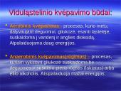 Kvėpavimo procesas, kvėpavimo tipai 4 puslapis