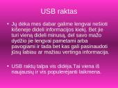 Laikmenų rūšys 13 puslapis