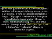 Lazeriai ir lazerių veikimas 14 puslapis