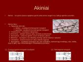 Lęšiai, akis, akiniai 11 puslapis