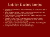 Lęšiai, akis, akiniai 12 puslapis