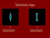 Lęšiai, akis, akiniai 7 puslapis