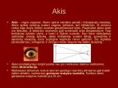 Lęšiai, akis, akiniai 9 puslapis