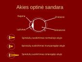 Lęšiai, akis, akiniai 10 puslapis