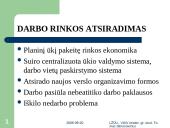 Lietuvos darbo rinkos raida 1991-2006 metais 2 puslapis