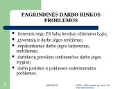 Lietuvos darbo rinkos raida 1991-2006 metais 11 puslapis
