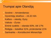 Lietuvos delegacijos į Nyderlandus vizitų vadyba 2 puslapis