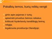 Lietuvos delegacijos į Nyderlandus vizitų vadyba 12 puslapis