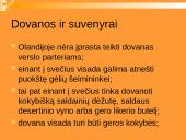 Lietuvos delegacijos į Nyderlandus vizitų vadyba 13 puslapis