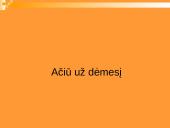 Lietuvos delegacijos į Nyderlandus vizitų vadyba 15 puslapis