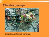 Lietuvos delegacijos į Nyderlandus vizitų vadyba 3 puslapis