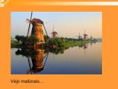 Lietuvos delegacijos į Nyderlandus vizitų vadyba 4 puslapis