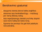 Lietuvos delegacijos į Nyderlandus vizitų vadyba 6 puslapis