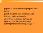 Lietuvos delegacijos į Nyderlandus vizitų vadyba 7 puslapis