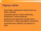 Lietuvos delegacijos į Nyderlandus vizitų vadyba 8 puslapis