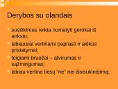 Lietuvos delegacijos į Nyderlandus vizitų vadyba 9 puslapis