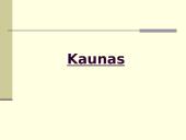 Lietuvos statiniai 11 puslapis