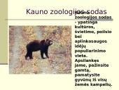 Lietuvos statiniai 18 puslapis