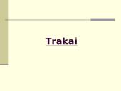 Lietuvos statiniai 19 puslapis