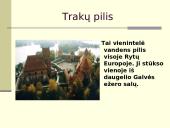 Lietuvos statiniai 20 puslapis