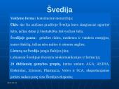 Lietuvos-Švedijos prekybiniai santykiai (2007-2009 metais) 3 puslapis