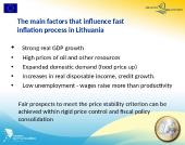 Lithuania's entry into the Eurozone 11 puslapis