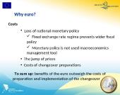 Lithuania's entry into the Eurozone 7 puslapis