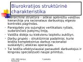 M. Weber idealaus biurokratinio valdymo teorija 11 puslapis
