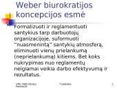 M. Weber idealaus biurokratinio valdymo teorija 10 puslapis