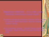 Magiškasis realizmas. Funkciniai stiliai 2 puslapis