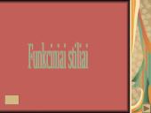 Magiškasis realizmas. Funkciniai stiliai 18 puslapis