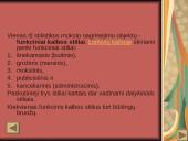 Magiškasis realizmas. Funkciniai stiliai 19 puslapis