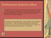 Magiškasis realizmas. Funkciniai stiliai 20 puslapis