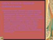 Magiškasis realizmas. Funkciniai stiliai 4 puslapis