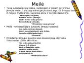 Jonas Mačiulis (Maironis) 14 puslapis