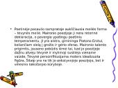 Jonas Mačiulis (Maironis) 15 puslapis