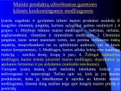 Maisto produktų užterštumas 4 puslapis